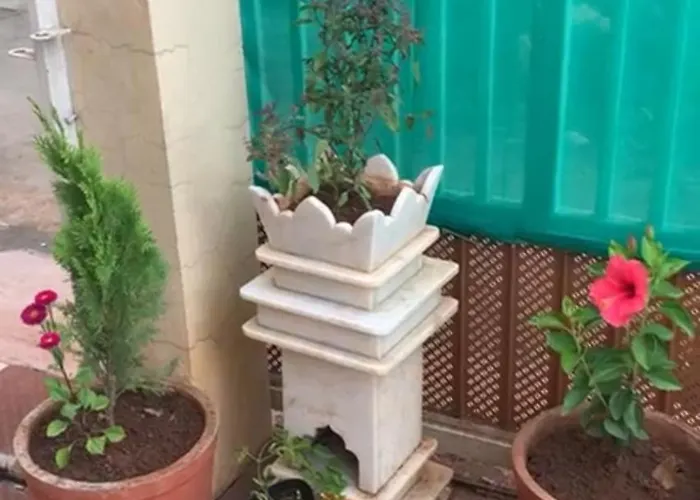 Snehal'S Homestay Hosting Only Families